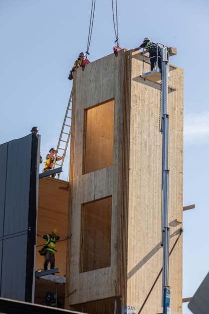 BIM et bois d'ingénierie